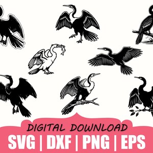 Peut inclure: Une collection d'illustrations en noir et blanc représentant des cormorans dans diverses postures, notamment en vol, perchés sur des branches et attrapant des poissons. L'image inclut le texte DIGITAL DOWNLOAD SVG | DXF | PNG | EPS en bas.