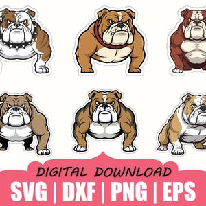Bulldog with Grumpy Face and Strong Body Sticker Svg, Dxf, Png