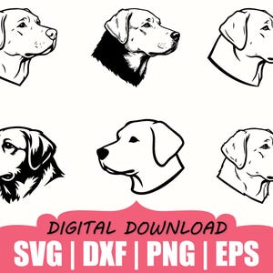 May include: Black and white line art illustrations of Labrador Retriever dog heads in profile. The image includes six different designs, with variations in detail and shading. Text at the bottom reads "DIGITAL DOWNLOAD" and lists file formats: SVG, DXF, PNG, EPS.