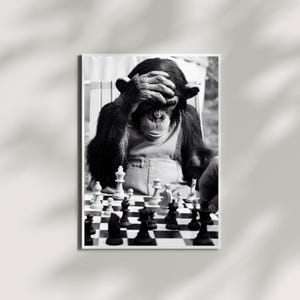 May include: A black and white photograph of a chimpanzee sitting at a chessboard. The chimpanzee has one hand resting on its forehead in a contemplative pose. The chessboard is set with various pieces, and the chimpanzee wears a light-colored shirt.