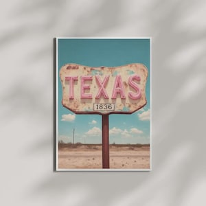Può includere: Un cartello rettangolare usurato con bordi arrotondati montato su un unico palo, che presenta la parola TEXAS in grandi lettere rosa in rilievo e il numero 1836 in un riquadro più piccolo, su uno sfondo di cielo azzurro e paesaggio desertico.