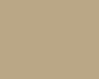 Macchiato | PE-440 | Art Gallery Fabrics | AGF PURE Solids — 100% Premium Quilting Cotton