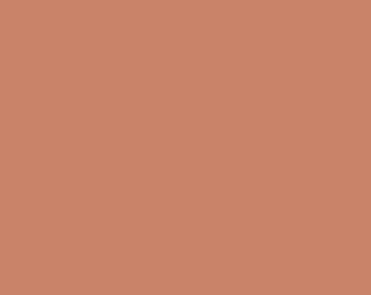 May include: A solid, uniform square field of color in a muted, earthy terracotta shade. The surface displays a consistent, flat matte texture without any patterns, gradients, shadows, or additional design elements visible across the entire area.