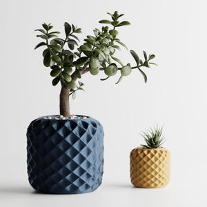 May include: Two decorative planters with plants. The larger planter is a dark blue with a diamond pattern, holding a small tree. The smaller planter is yellow with a diamond pattern, holding a small succulent.