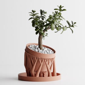 Puede incluir: Una maceta de color terracota con un diseño texturizado único, que contiene una pequeña planta verde. La maceta se asienta sobre un platillo a juego y está llena de pequeños guijarros blancos. La planta tiene hojas de color verde oscuro y un tallo marrón.