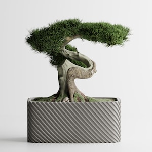 Modern Bonsai Planter - Ribbed 3D Printed Flower Pot - Minimalist Indoor Planter