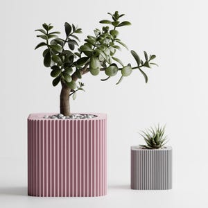 Maceta moderna acanalada - Maceta rosa impresa en 3D - Maceta minimalista para interiores