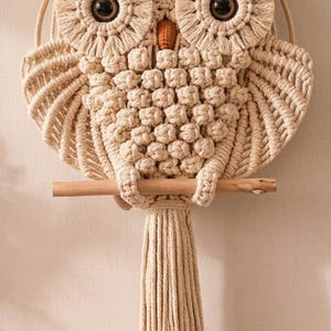 May include: A cream-colored macrame wall hanging shaped like an owl, featuring two large circular eyes with dark brown centers, a small orange beak, textured knot patterns on the body, and a long fringe hanging from a wooden perch.