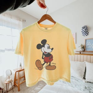 Pu&ograve; includere: T-shirt giallo con grafica di Topolino. Il personaggio dei cartoni animati &egrave; raffigurato in nero, rosso e marrone, con il logo Disney. La maglietta &egrave; appesa a una gruccia di legno.