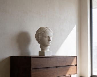 Venus von Milo Büste Statue, Aphrodite Griechische Göttin Skulptur, Gips Kopf Büste, Ästhetisches Regal Dekor, Minimalistisches Wohngeschenk