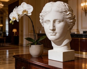 Venus Skulptur aus Gipskopf - Luxuriöses Wohndekor, personalisiertes Geschenk, griechische Göttin Büste, elegante ästhetische Innenstatue, handgefertigte Kunst