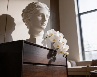 Venus Skulptur aus Gipskopf - Luxuriöses Wohndekor, personalisiertes Geschenk, griechische Göttin Büste, elegante ästhetische Innenstatue, handgefertigte Kunst