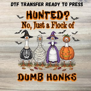 May include: A DTF transfer design featuring four geese dressed in Halloween costumes. One goose is in a skeleton costume, another is wrapped in bandages, a third wears a witch costume, and the last is a pumpkin. The text reads "HUNTED? No, Just a Flock of DUMB HONKS."