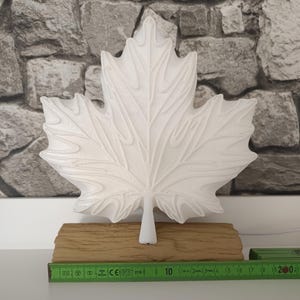 May include: A white maple leaf-shaped object with raised veins, mounted on a textured tan base resembling a log. A green measuring tool is positioned in front, showing the base width is approximately 20 centimeters or 7.87 inches long.