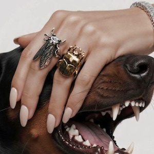 Puede incluir: Una mano con un anillo de insecto plateado y un anillo de escarabajo dorado, junto con una pulsera de diamantes, descansa sobre la cabeza de un perro. La boca del perro está abierta, revelando sus dientes. El fondo es blanco.