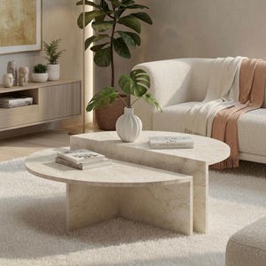 Puede incluir: Una mesa de centro moderna de dos piezas con acabado de mármol claro. La mesa tiene un diseño semicircular con una sección inferior más pequeña. Un jarrón blanco con hojas verdes se encuentra encima, junto con libros. La mesa está sobre una alfombra blanca.
