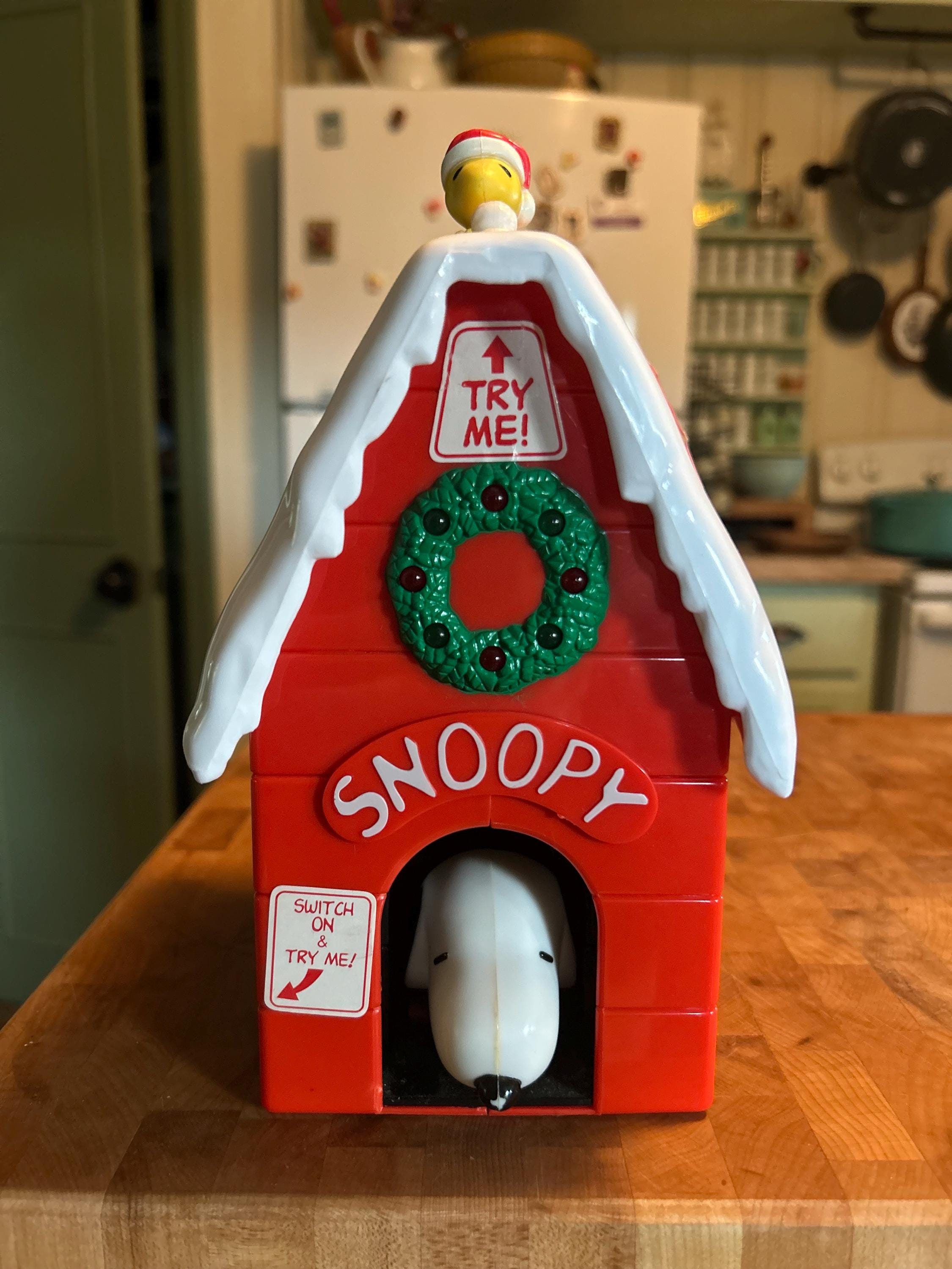 Snoopy Doghouse - Etsy