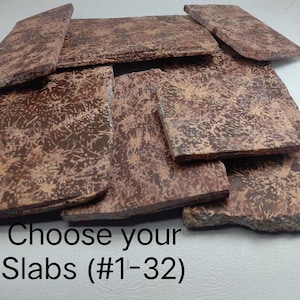 Losa de jaspe natural con efecto estrellado / Lámina de cristal con forma de petardo araña / Losa única para la fabricación de joyas, losa lapidaria (n.º 1-17)