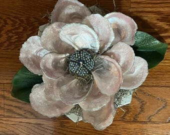 Oyster Shell Magnolia