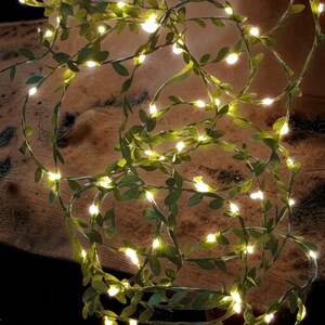 May include: A string of decorative fairy lights with green leaves and small, warm white LED lights. The lights are arranged in a winding pattern, creating a natural, organic look. Ideal for home decor and special events.