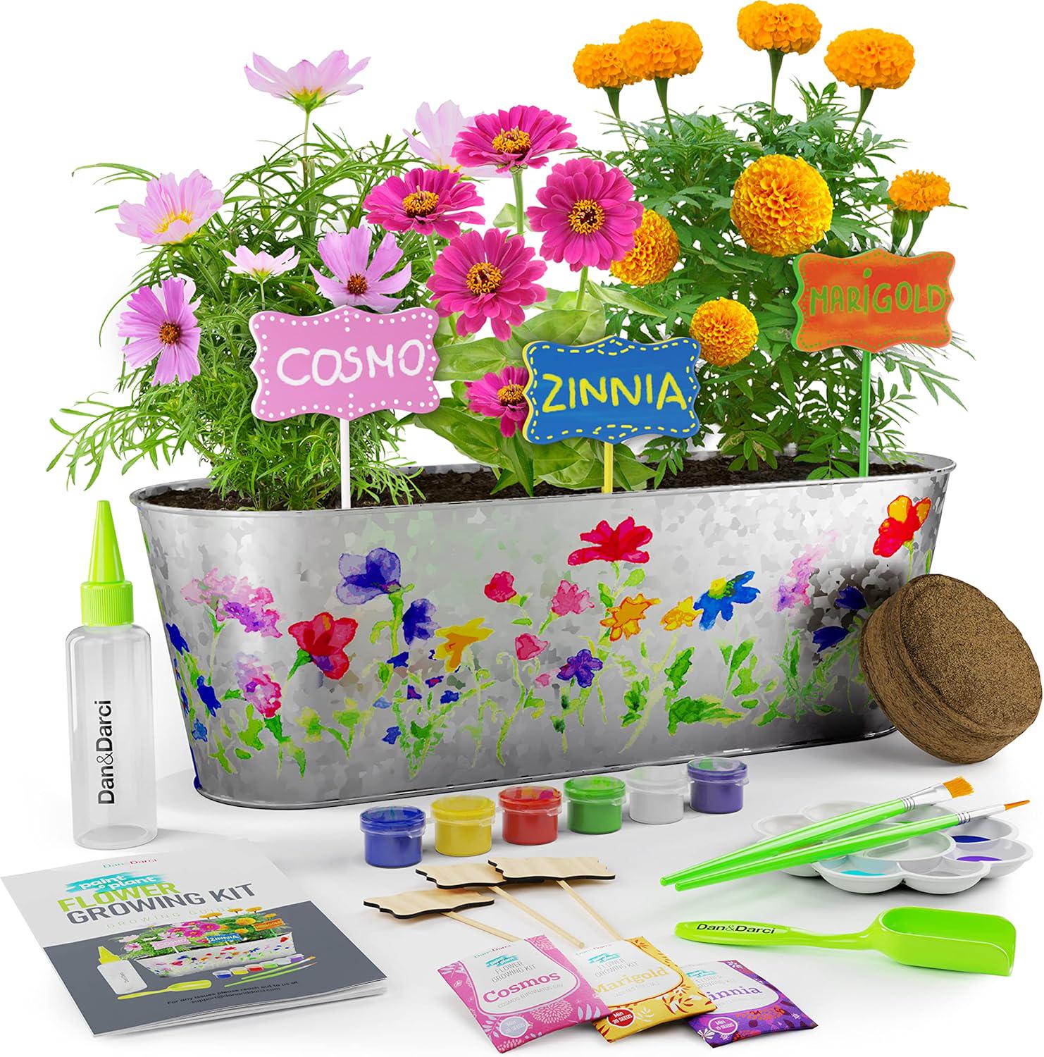 Paint and Plant Flower Garden Kit for Kids, DIY Gardening Craft Set,…