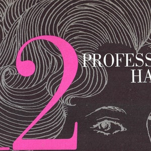1960s 12 New Professional Hairdos For You to Set