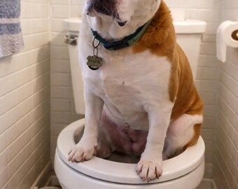 Siento que te sientas fatal.