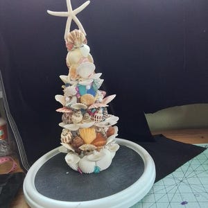 May include: A conical sculpture constructed from various seashells in shades of white, tan, brown, and orange, topped with a white starfish. The structure is arranged in a tiered, tree-like shape, featuring a variety of shell textures and sizes.