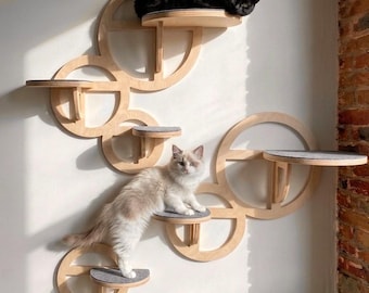 Estantes geométricos para gatos / Juego de perchas de escalada de madera de abedul / Muebles de pared modernos