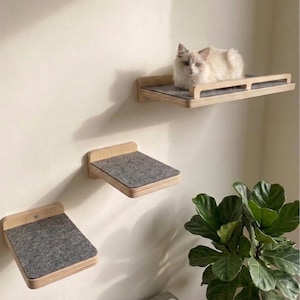 May include: A cat sits on a wooden cat shelf with a grey felt pad. Two more shelves are mounted below. The shelves are attached to a light-coloured wall. A green plant is in the lower right corner.
