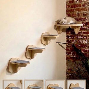 May include: A cat sleeps on a wooden cat shelf attached to a wall. The shelf is light-colored wood with a gray cushion. The shelf is shaped like a cloud. Additional shelves are shown in clover, cloud, heart, and cat ear shapes.
