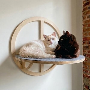 Estantería XL Bubble Cat — Muebles modernos de pared de escalada de madera contrachapada