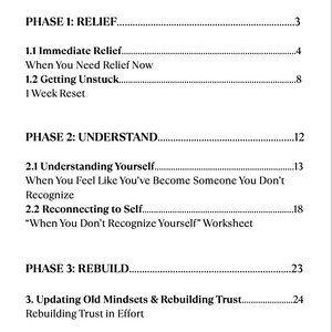 May include: A page from a document with a table of contents. The text is black on a white background. The document is divided into three phases: Relief, Understand, and Rebuild. Each phase has subheadings and page numbers.