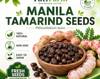TutiFarm Manila Tamarind Tropical Fruit Seeds Camachile Sweet Inga Madras Thorn