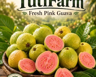 TutiFarm Pink Guava Fruit Tree Seeds Rare Exotic Ruby Supreme Guayaba Rose Rosa