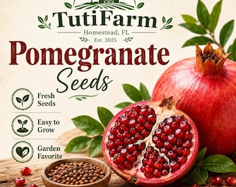 TutiFarm Pomegranate Seeds Packet Fast Growing Garden Plant Tree Garden Fruit