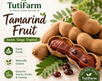 TutiFarm Tamarind Tropical Seeds Rare Exotic Fruit Seeds for Growing Asam Jawa