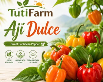 TutiFarm Aji Dulce Cachucha Peppers Seeds Organic Gustoso Capsicum Puerto Rico