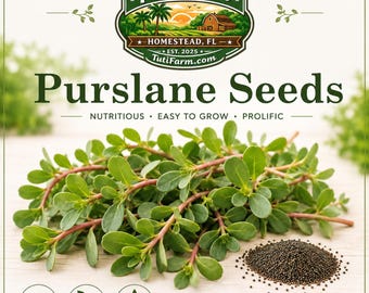 TutiFarm Purslane Seeds Heirloom Organic Garden Fast Growing Salad Portulaca