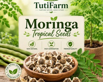 TutiFarm Moringa Seeds Starter Easy to Grow Exotic Drumstick Miracle Oleifera