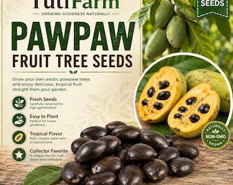 TutiFarm Pawpaw Asimina triloba Fruit Seeds Northern Banana Indiana Hoosier