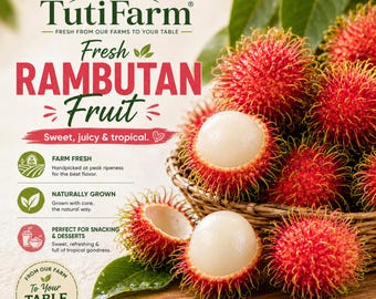 TutiFarm Rambutan Tropical Fruit Seeds Rare & Exotic Mamon Chom Luuk Quine Usan