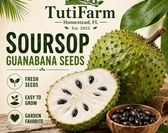 TutiFarm Soursop Guanabana Fruit Tree Seeds Tropical Rare Exotic Growing Anonna