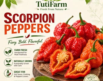 TutiFarm Trinidad Red Scorpion Pepper Seeds Organic Capsicum Aji Hot Fire Tobago