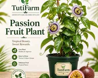 TutiFarm 9 Live Passion Fruit Plants 3in-6in Passiflora Edulis Maracuya Parcha Chinola