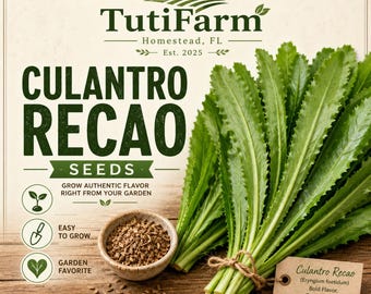 TutiFarm Culantro Recao Herb Seeds Rare Exotic for Growing Ngo Gai Cilantro