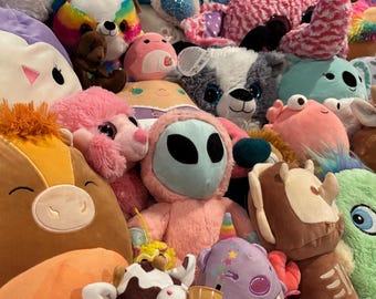 Adopt a Mystery Plush | Mystery Plush Box | Surprise Stuffed Animal | Plush Grab Bag