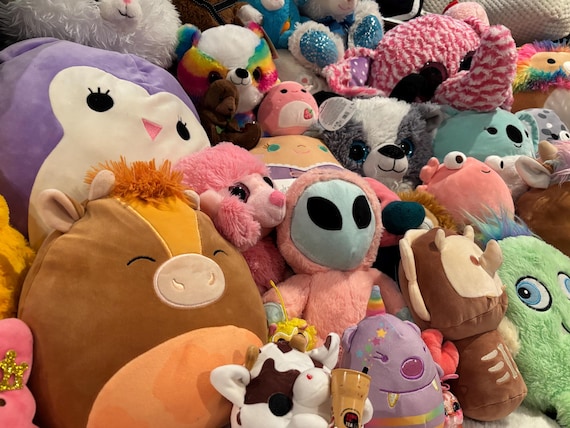 Adopt a Mystery Plush | Mystery Plush Box | Surprise Stuffed Animal | Plush Grab Bag by FunkyMeadow