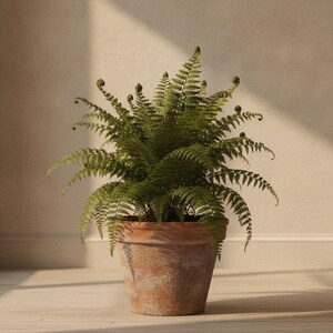 May include: A lush green fern plant with delicate, feathery fronds and several tightly coiled fiddleheads extending upwards, potted in a rustic, weathered terracotta clay pot with a textured, earthy orange-brown surface and a wide rim.