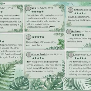 Pu&ograve; includere: Stampa digitale con recensioni dei clienti su sfondo verde chiaro, ornata da illustrazioni botaniche. Le recensioni sono in piccoli riquadri bianchi con una valutazione a cinque stelle e commenti.